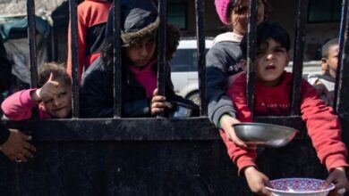 Gaza, ayuda humanitaria