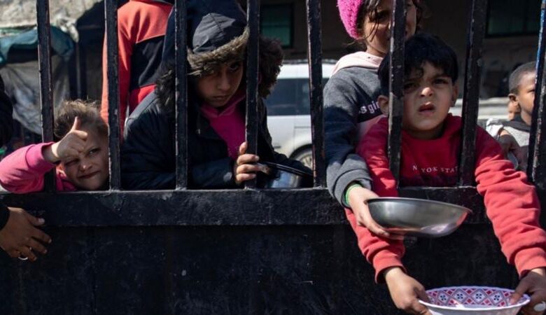 Gaza, ayuda humanitaria